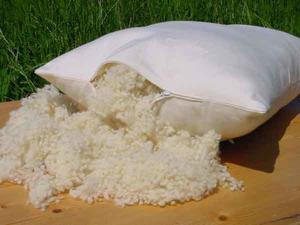 Økologisk Hovedpuder Fåreuld 40x60