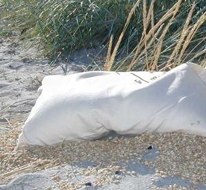 Økologisk Hovedpuder Speltskaller 40x60