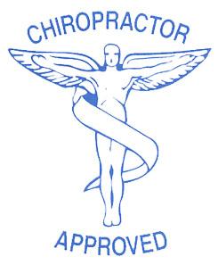 Økologisk Hovedpuder Kapok 80x80