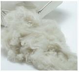 Økologisk Hovedpuder Kapok 80x80