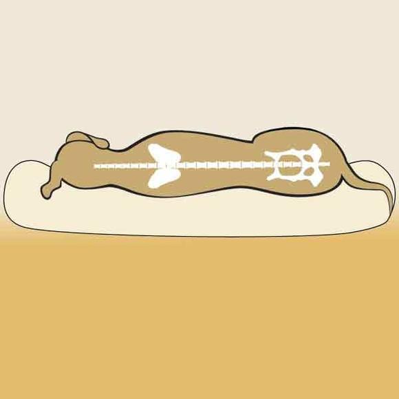 Luksus madras til hund og kat 100x120 ren uld