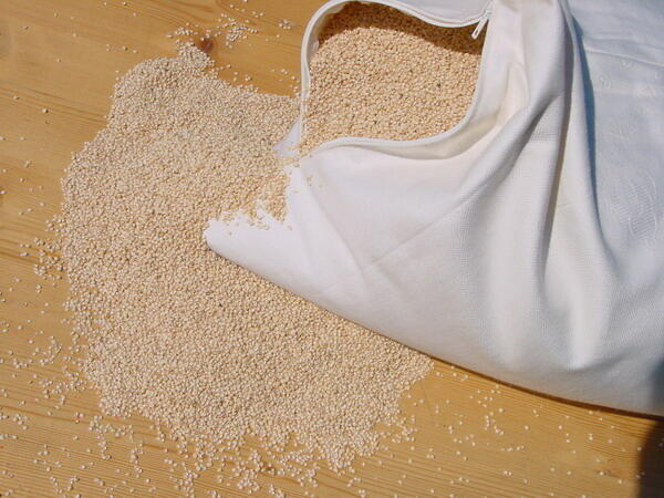 Økologisk Hovedpude Hirseskaller