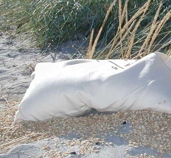 Økologisk Hovedpuder Speltskaller 40x60