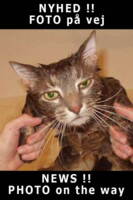 NARVI sofa grå 539 Bouclé Beige